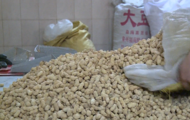 春節(jié)臨近 龍巖咸酥花生成緊俏年貨