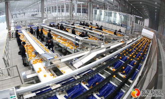 農(nóng)夫山泉信豐工廠竣工投產(chǎn)，打造技術(shù)驅(qū)動新標(biāo)桿，預(yù)計(jì)年銷售額達(dá)4.5億元